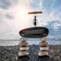 node快‍速﻿入﻿门‍