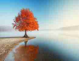 ai脚​本‍怎﻿么​写‌